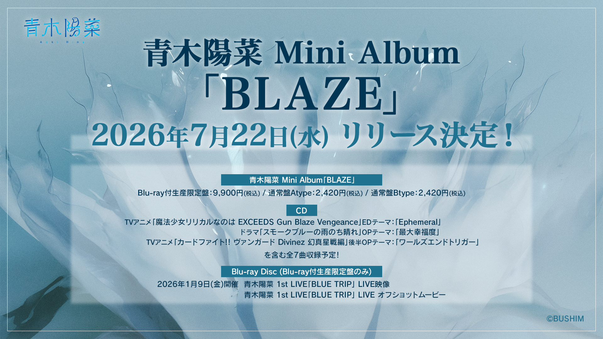 青木陽菜 1st 複製コメント入り 年賀ポストカード 特典 青木陽菜 Mini Album「BLAZE」 | WORKS | BM-ECHOES 公式サイト