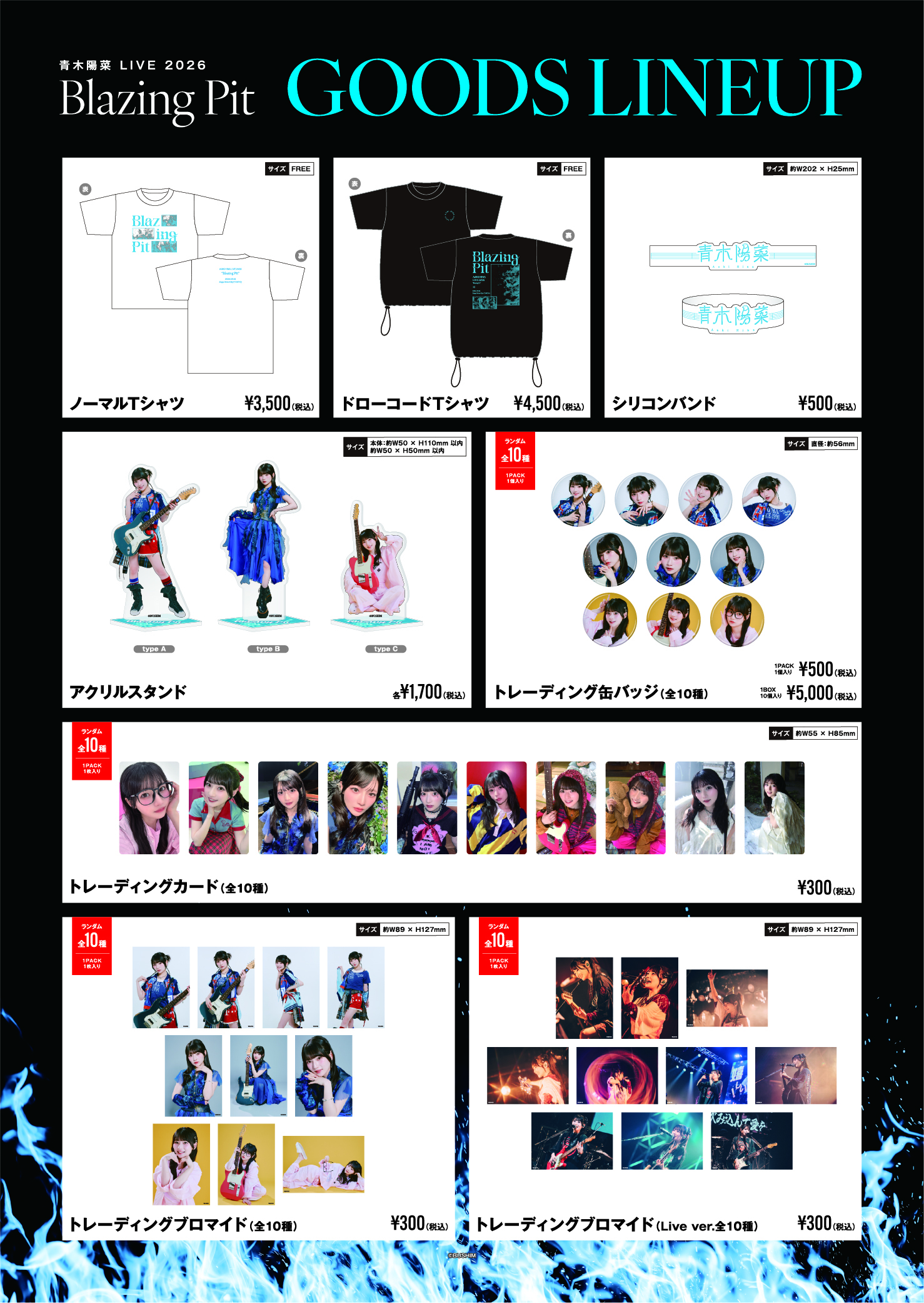 青木陽菜 LIVE 2026「Blazing Pit」 | WORKS | BM-ECHOES 公式サイト